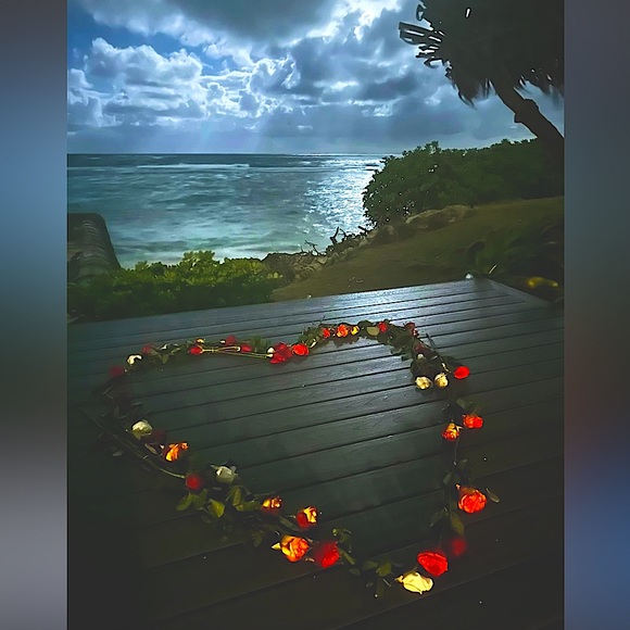 HAWAII Other - HAWAII 2023 CANDLE SALE